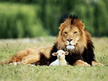 lion-and-the-lamb1.jpg