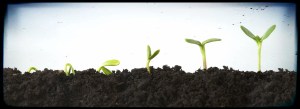 plant_growth
