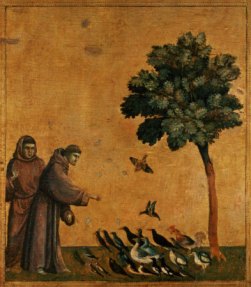 St. Francis and the birds of the air