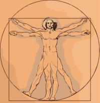 vitruvian man
